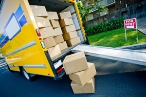 Mover Tampa Bay FL